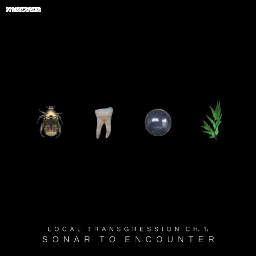 Portada de Local Transgression: Sonar to Encounter