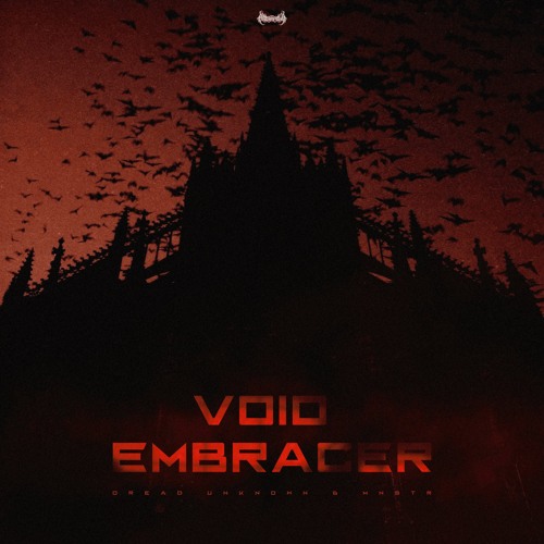 Portada de Void Embracer